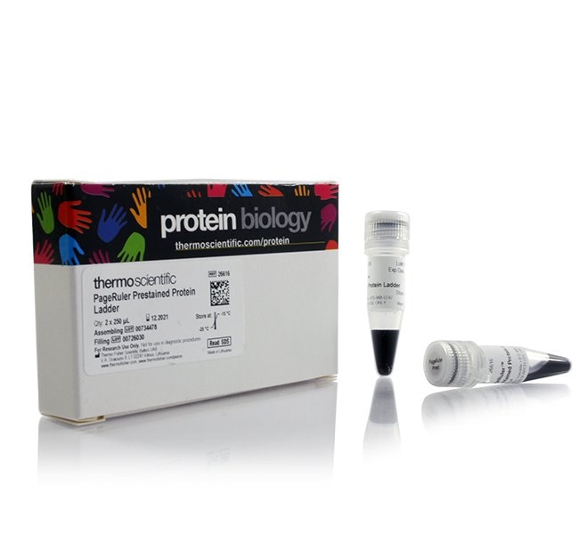 PageRuler? Prestained Protein Ladder, 10 to 180 kDa 